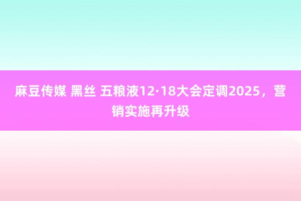 麻豆传媒 黑丝 五粮液12·18大会定调2025，营销实施再升级