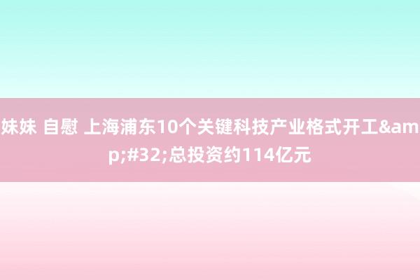 妹妹 自慰 上海浦东10个关键科技产业格式开工&#32;总投资约114亿元