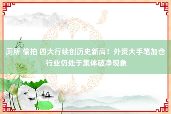 厕所 偷拍 四大行续创历史新高！外资大手笔加仓 行业仍处于集体破净现象