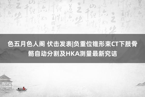 色五月色人阁 伏击发表|负重位锥形束CT下肢骨骼自动分割及HKA测量最新究诘