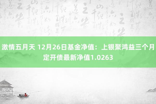 激情五月天 12月26日基金净值：上银聚鸿益三个月定开债最新净值1.0263