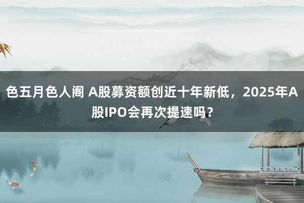 色五月色人阁 A股募资额创近十年新低，2025年A股IPO会再次提速吗？