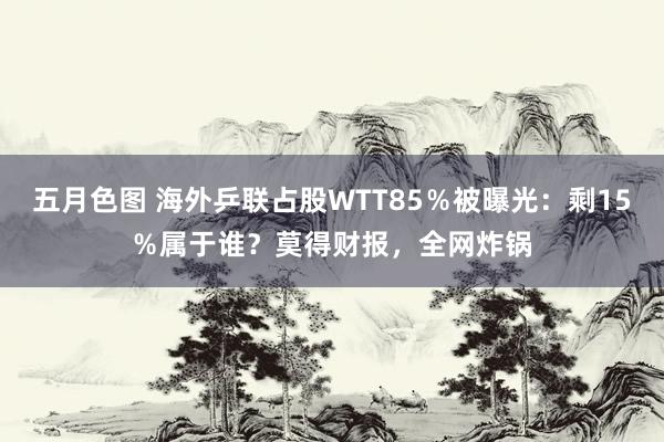 五月色图 海外乒联占股WTT85％被曝光：剩15％属于谁？莫得财报，全网炸锅