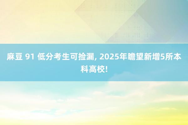 麻豆 91 低分考生可捡漏, 2025年瞻望新增5所本科高校!