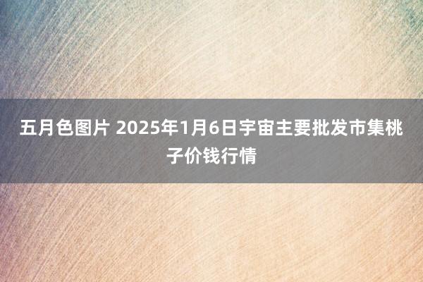 五月色图片 2025年1月6日宇宙主要批发市集桃子价钱行情