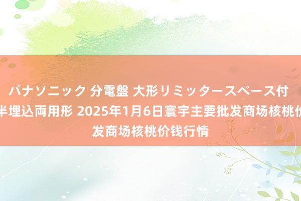 パナソニック 分電盤 大形リミッタースペース付 露出・半埋込両用形 2025年1月6日寰宇主要批发商场核桃价钱行情