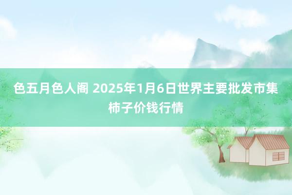 色五月色人阁 2025年1月6日世界主要批发市集柿子价钱行情