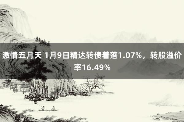 激情五月天 1月9日精达转债着落1.07%，转股溢价率16.49%