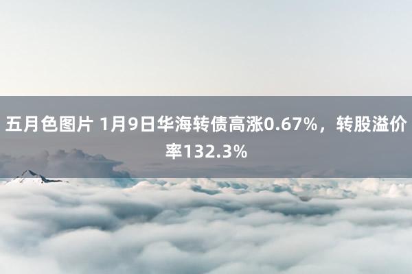 五月色图片 1月9日华海转债高涨0.67%，转股溢价率132.3%