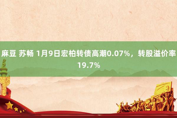 麻豆 苏畅 1月9日宏柏转债高潮0.07%，转股溢价率19.7%