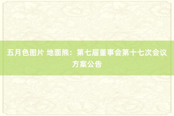 五月色图片 地面熊：第七届董事会第十七次会议方案公告