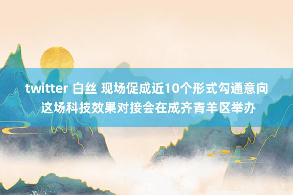 twitter 白丝 现场促成近10个形式勾通意向 这场科技效果对接会在成齐青羊区举办