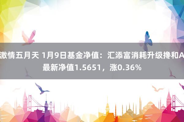 激情五月天 1月9日基金净值：汇添富消耗升级搀和A最新净值1.5651，涨0.36%