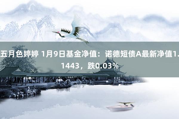 五月色婷婷 1月9日基金净值：诺德短债A最新净值1.1443，跌0.03%