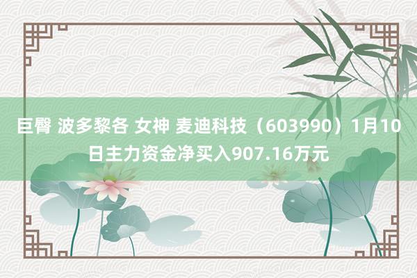 巨臀 波多黎各 女神 麦迪科技（603990）1月10日主力资金净买入907.16万元