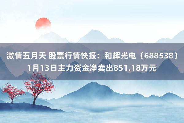 激情五月天 股票行情快报：和辉光电（688538）1月13日主力资金净卖出851.18万元