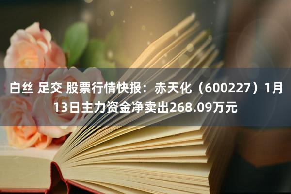 白丝 足交 股票行情快报：赤天化（600227）1月13日主力资金净卖出268.09万元