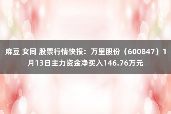 麻豆 女同 股票行情快报：万里股份（600847）1月13日主力资金净买入146.76万元