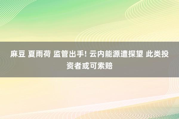 麻豆 夏雨荷 监管出手! 云内能源遭探望 此类投资者或可索赔