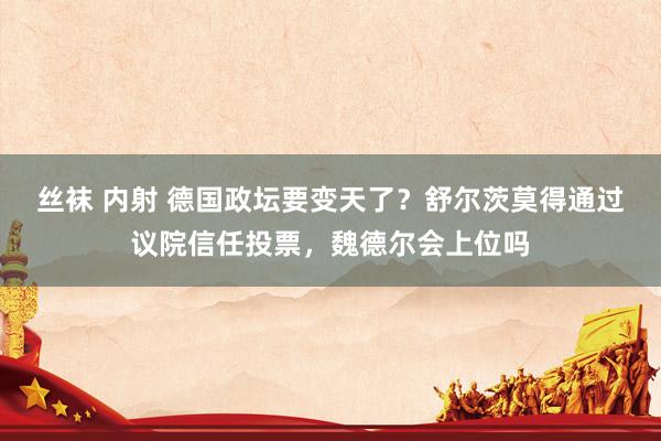 丝袜 内射 德国政坛要变天了？舒尔茨莫得通过议院信任投票，魏德尔会上位吗